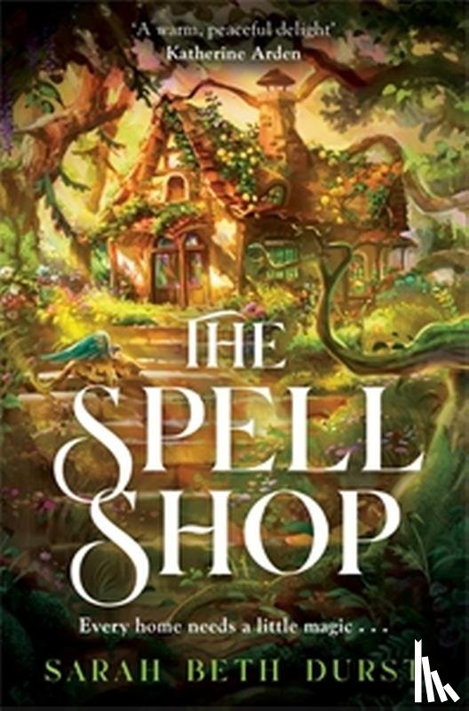 Durst, Sarah Beth - The Spellshop