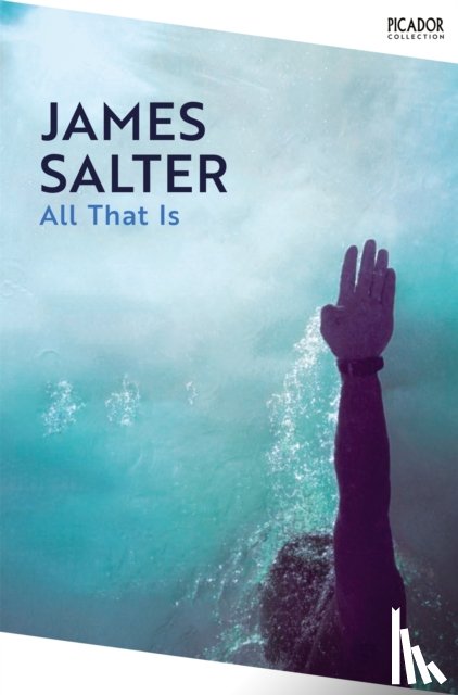 Salter, James - All That Is