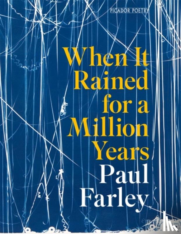 Farley, Paul - When It Rained for a Million Years