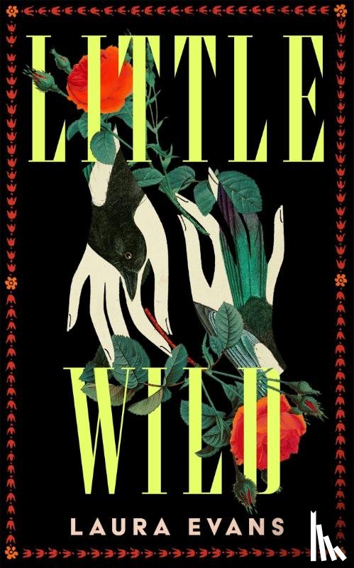 Evans, Laura - Little Wild