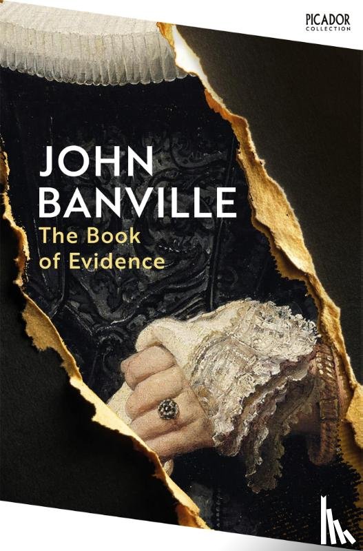 Banville, John - The Book of Evidence