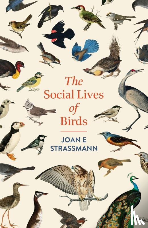 Strassmann, Joan E. - The Social Lives of Birds