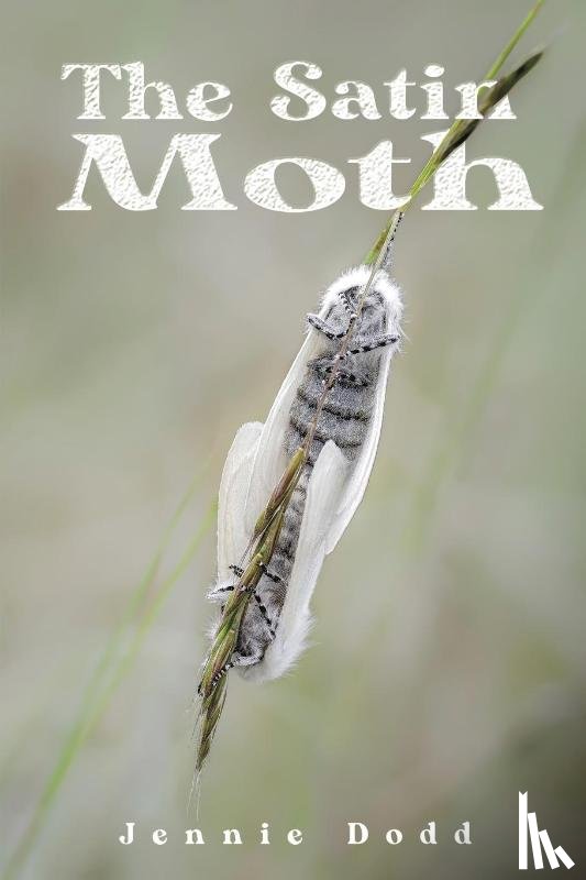 Dodd, Jennie - The Satin Moth