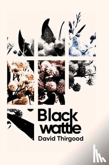 Thirgood, David - Blackwattle