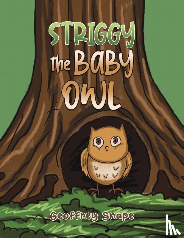 Snape, Geoffrey - Striggy the Baby Owl
