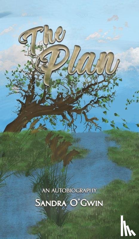 O'Gwin, Sandra - The Plan