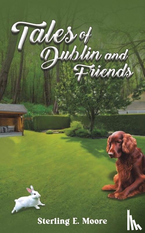 Moore, Sterling E. - Tales of Dublin and Friends