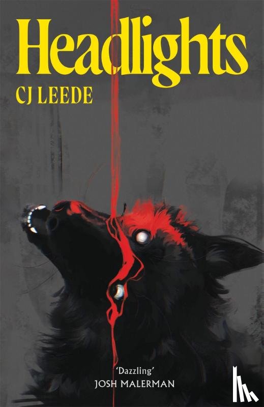 Leede, CJ - Headlights