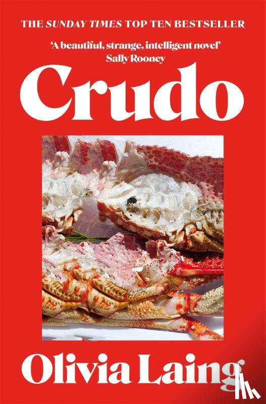 Laing, Olivia - Crudo