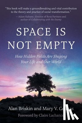 Briskin, Alan - Space Is Not Empty: How Hidden Fields Are Shaping Your Life and Our World