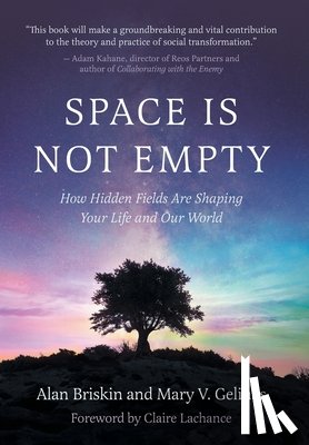 Briskin, Alan - Space Is Not Empty: How Hidden Fields Are Shaping Your Life and Our World
