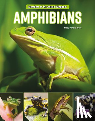Brink, Tracy Vonder - Amphibians