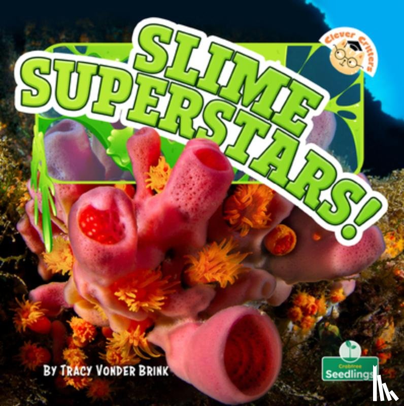 Brink, Tracy Vonder - Slime Superstars!