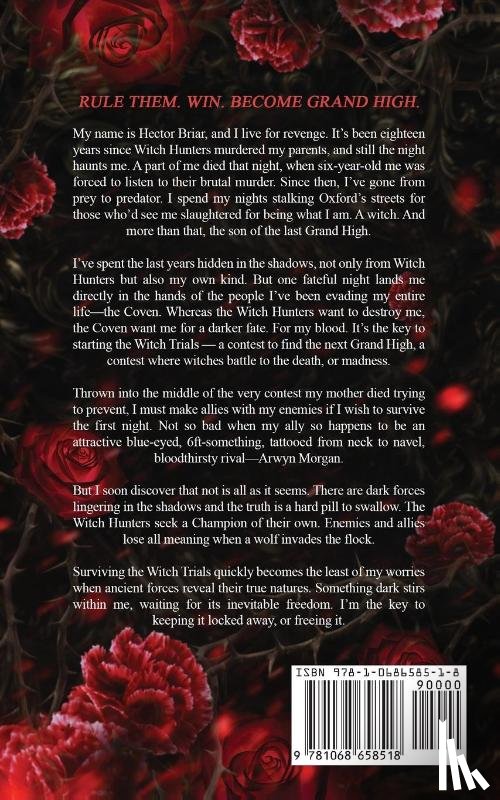 Alderson, Ben - The Witch and His Crow