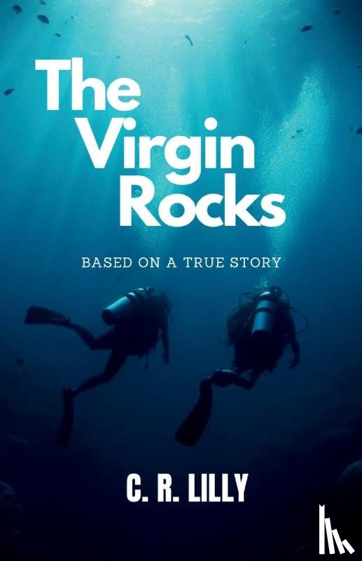 Lilly, Christopher R - The Virgin Rocks