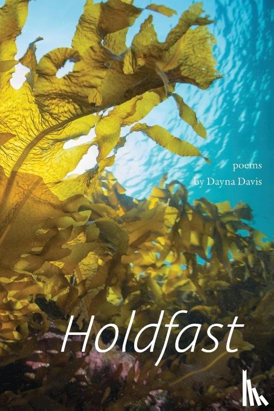 Davis, Dayna - Holdfast