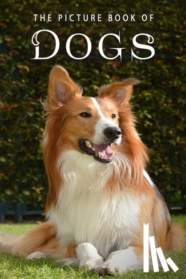 Books, Sunny Street - The Picture Book of Dogs: A Gift Book for Alzheimer's Patients and Seniors with Dementia