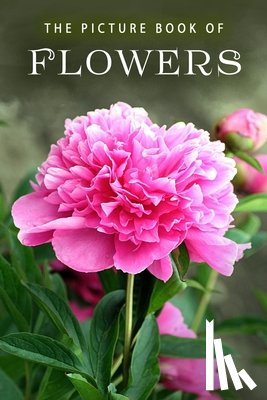 Books, Sunny Street - The Picture Book of Flowers