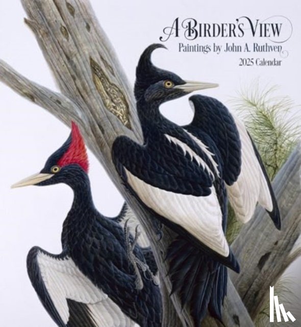 A. Ruthven, John - A Birder's View