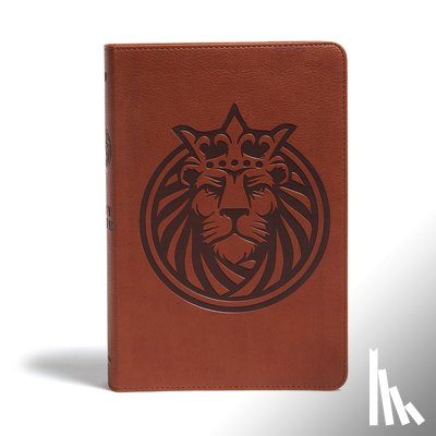 Holman Bible Publishers - KJV Kids Bible, Lion Leathertouch