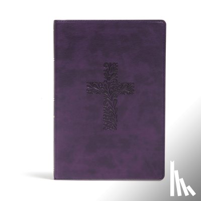 Holman Bible Publishers - KJV Rainbow Study Bible, Purple Leathertouch