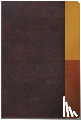 B&h Español Editorial - Rvr 1960 Biblia de Estudio Arcoiris, Cocoa/ Terracota Símil Piel Con Índice