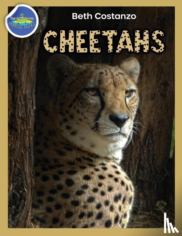 Costanzo, Beth - Cheetah Activity Workbook ages 4-8