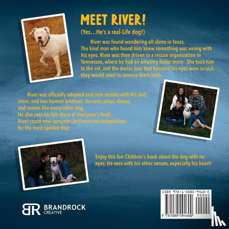 Meter, Bethany van - River's Story...I See With My Heart