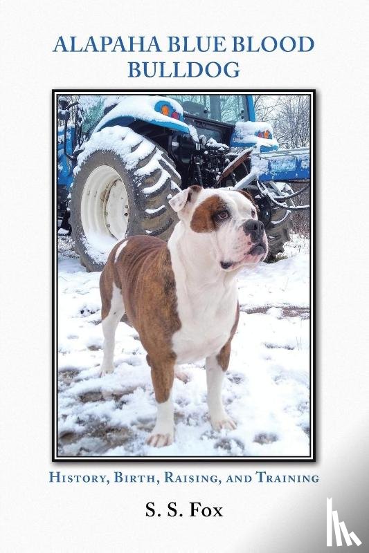 Fox, S S - Alapaha Blue Blood Bulldog