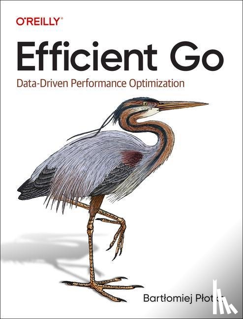 Plotka, Bartlomiej - Efficient Go