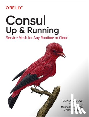 Kysow, Luke - Consul: Up and Running