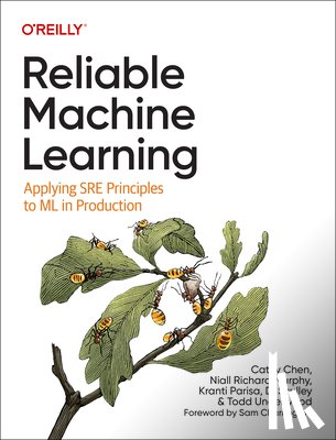 Chen, Cathy, Murphy, Niall Richard, Parisa, Kranti, Sculley, D - Reliable Machine Learning