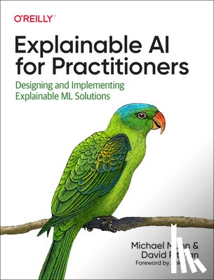 Munn, Michael, Pitman, David - Explainable AI for Practitioners