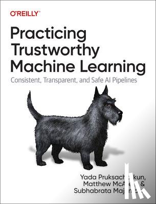 Pruksachatkun, Yada, McAteer, Matthew, Majumdar, Subhabrata - Practicing Trustworthy Machine Learning
