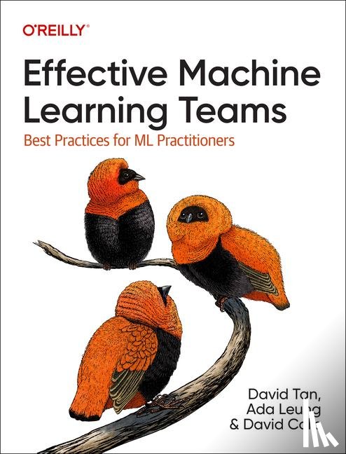 Tan, David, Leung, Ada, Colls, David - Effective Machine Learning Teams