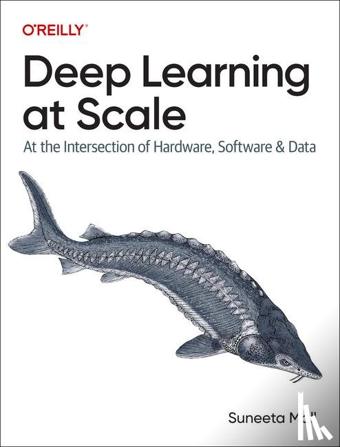 Mall, Suneeta - Deep Learning at Scale