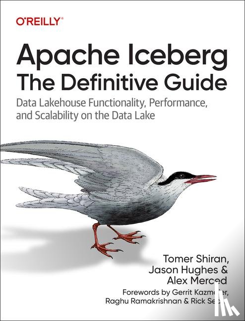 Shiran, Tomer, Hughes, Jason, Merced, Alex, Mazumdar, Dipankar - Apache Iceberg: The Definitive Guide