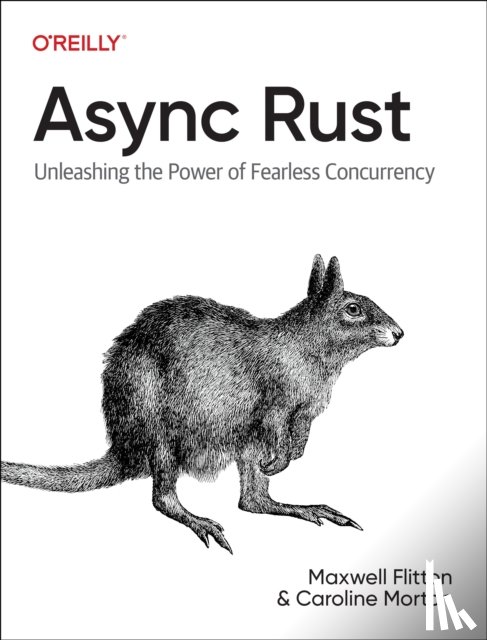 Flitton, Maxwell, Morton, Caroline - Async Rust
