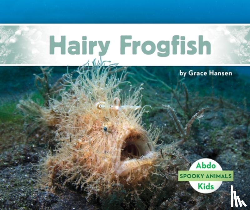 Hansen, Grace - Hairy Frogfish