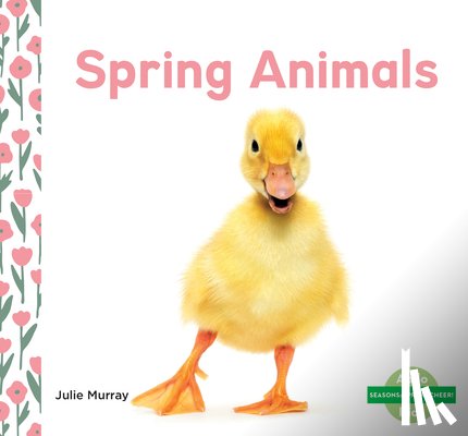 Murray, Julie - Spring Animals