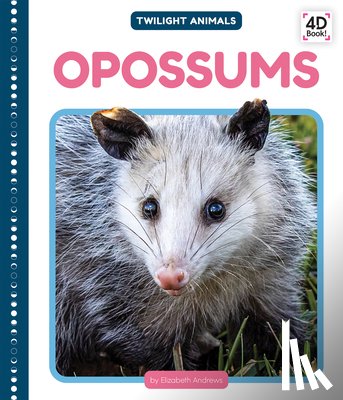 Andrews, Elizabeth - Opossums