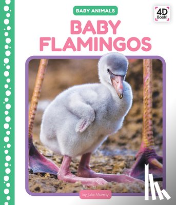 Murray, Julie - Baby Flamingos