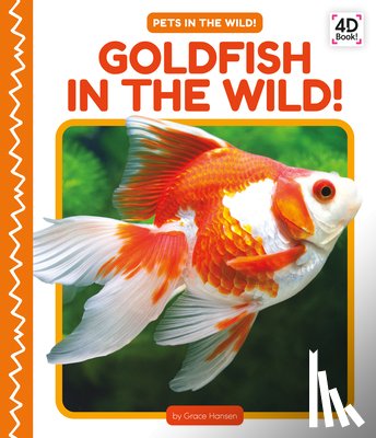 Hansen, Grace - Goldfish in the Wild!