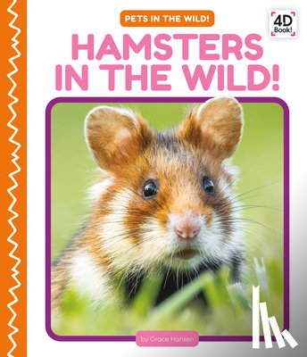 Hansen, Grace - Hamsters in the Wild!