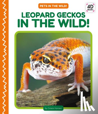 Hansen, Grace - Leopard Geckos in the Wild!