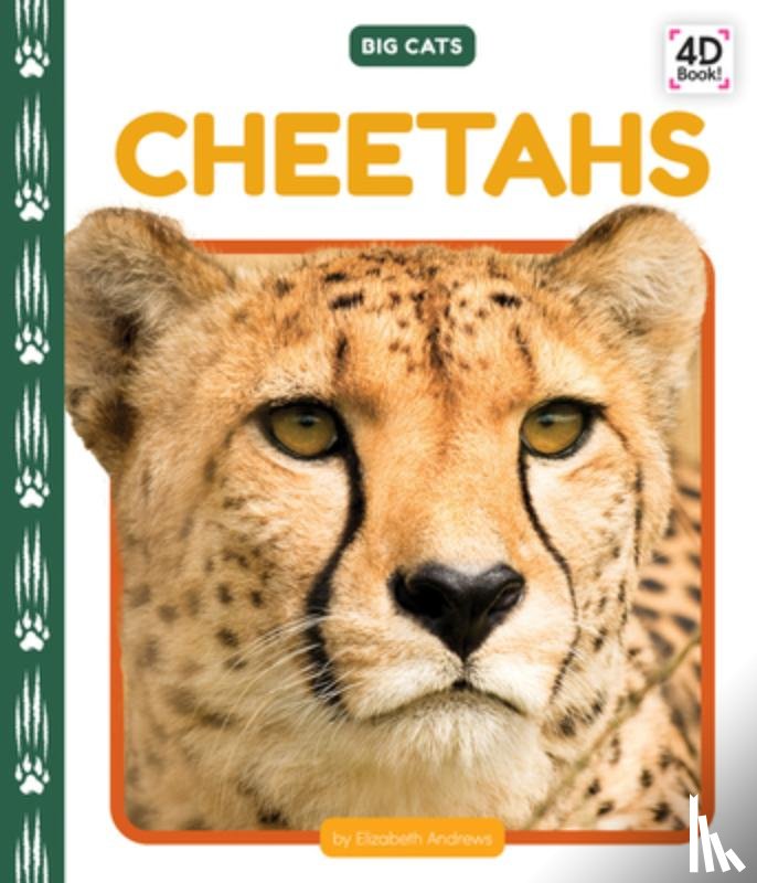 Andrews, Elizabeth - Cheetahs