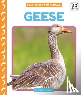 Andrews, Elizabeth - Geese