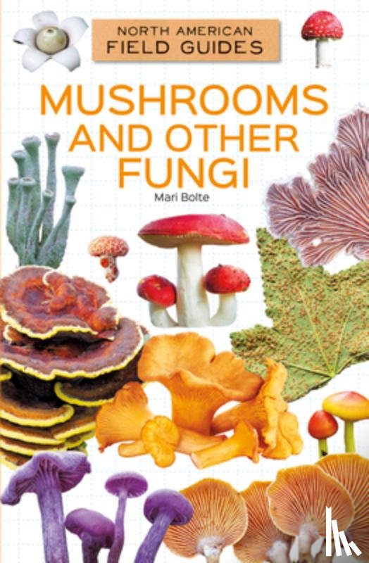 Bolte, Mari - Mushrooms and Other Fungi