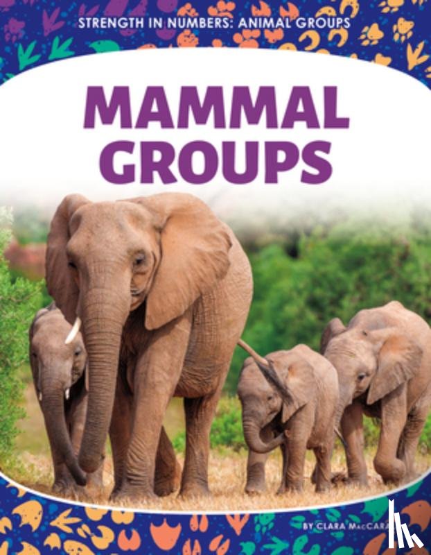 Maccarald, Clara - Mammal Groups