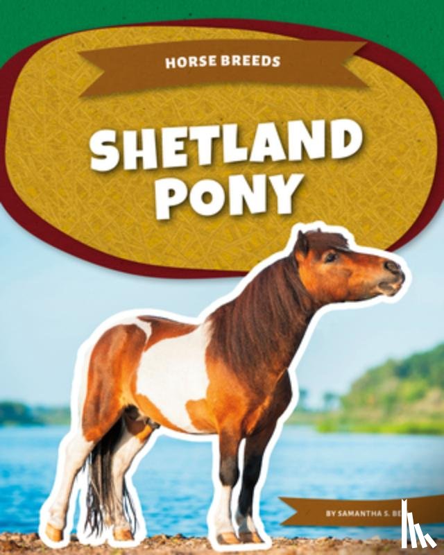 Bell, Samantha S. - Shetland Pony